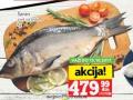 IDEA Reča riba Šaran, 1kg