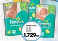 Roda Pampers Active baby dry pelene