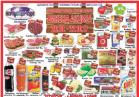 katalog europrom