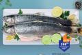 TEMPO Kalifornijska pastrmka, 1kg