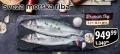 MAXI Morska riba brancin, 1kg