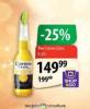 MAXI Calsberg Pivo Corona Extra