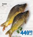 Roda Šaran, 1kg