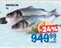 Roda Brancin, 1kg