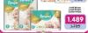 Aksa Pampers Premium Care pelene