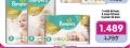 Aksa Pampers Premium Care pelene