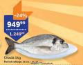 TEMPO Orada morska riba, 1kg