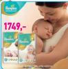 Lilly Drogerie Pampers Premium Care pelene