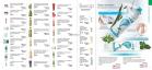 Akcija Oriflame katalog akcija decembar 2017 66214