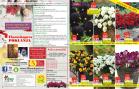 Akcija Floraekspres rasprodaja jesen 2017 66429