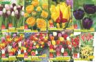 Akcija Floraekspres rasprodaja jesen 2017 66430