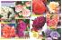 Akcija Floraekspres rasprodaja jesen 2017 66436