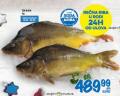 Roda Šaran, rečna riba, 1kg