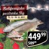 MAXI Rečna riba Kalifornijska pastrmka