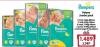 Aksa Pampers Active baby dry pelene