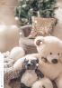Akcija TC UŠĆE, Trend Magazin Decembar 2017 68172