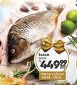 Roda Šaran, 1kg