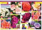 Akcija Floraexpress katalog cveća i sadnog materijala proleće 2018 69127