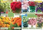 Akcija Floraexpress katalog cveća i sadnog materijala proleće 2018 69132