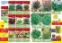 Akcija Floraexpress katalog cveća i sadnog materijala proleće 2018 69136
