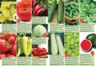 Akcija Floraexpress katalog cveća i sadnog materijala proleće 2018 69137
