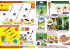 Akcija Floraexpress katalog cveća i sadnog materijala proleće 2018 69149