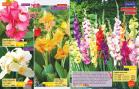 Akcija Floraekspres katalog proleće 2018 71199