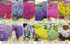 Akcija Floraekspres katalog proleće 2018 71209