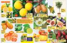 Akcija Floraekspres katalog proleće 2018 71226
