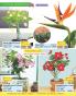 Akcija Floraekspres katalog proleće 2018 71245