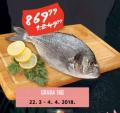 MAXI Morska riba orada, 1kg