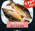 MAXI Riba šaran, 1kg