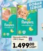 MAXI Pampers Active baby dry pelene