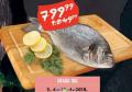 MAXI Riba orada, 1kg