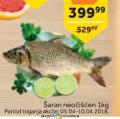 TEMPO Riba šaran neočišćen, 1kg