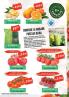 Akcija MAXI katalog akcija, 19. april do 2. maj 2018 72630