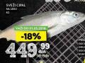 IDEA Sveži cipal, 1kg