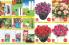 Akcija Flora ekspres katalog rasprodaja leto 2018 74201