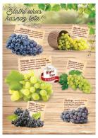 Akcija MAXI katalog akcija, 9-22. avgust 2018 75161