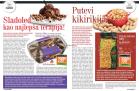 Akcija GOMEX porodicni magazin, 17-30. avgust 2018 75481