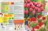 Akcija Katalog Floraekspres jesen 2018 76544