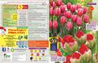 Akcija Katalog Floraekspres jesen 2018 76544