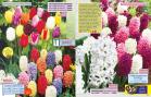 Akcija Katalog Floraekspres jesen 2018 76553