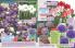 Akcija Katalog Floraekspres jesen 2018 76558