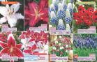 Akcija Katalog Floraekspres jesen 2018 76559