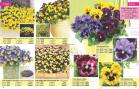 Akcija Katalog Floraekspres jesen 2018 76561