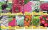 Akcija Katalog Floraekspres jesen 2018 76563
