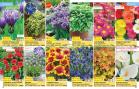 Akcija Katalog Floraekspres jesen 2018 76564