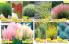 Akcija Katalog Floraekspres jesen 2018 76566