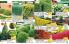 Akcija Katalog Floraekspres jesen 2018 76572
